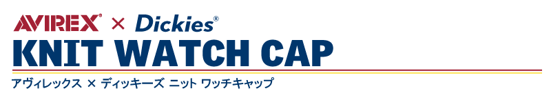 ディッキーズ_本文4.png